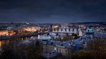 the bridges of Prague by Dennis Donders
