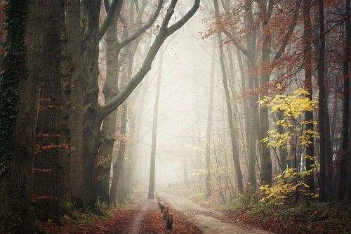 Where the spirits live