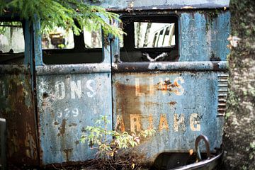 Volkswagen T1 sur marcel schoolenberg