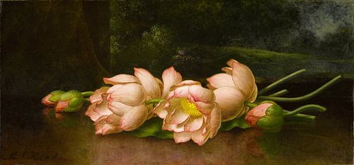 Lotusbloemen, Martin Johnson Heade...
