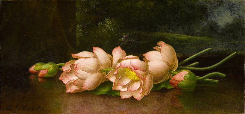 Lotusblüten, Martin Johnson Heade von Meesterlijcke Meesters