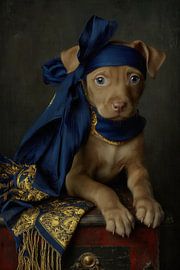 Der orientalische Philosoph - Hundeporträt Alte Meister von Joriali Fine Art