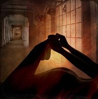 Series - Fire 2