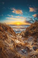 Zonsondergang in de duinen van Denemarken