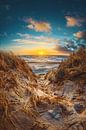 Zonsondergang in de duinen van Denemarken van Florian Kunde thumbnail