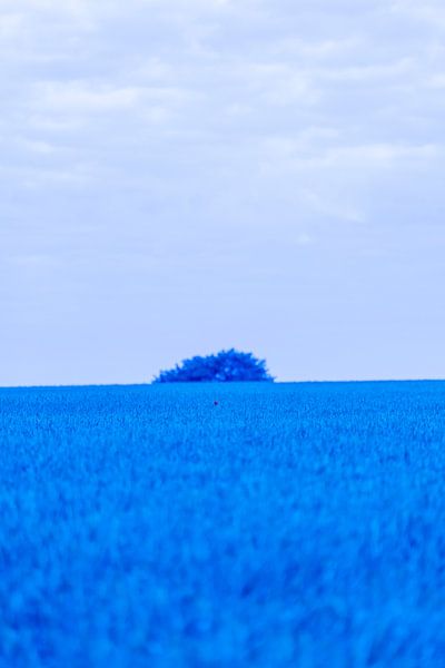 Red Hope in a Blue Universe by Stories by light
