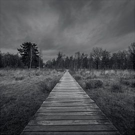 Rauwe Vennen, De Moer, chemin de planches