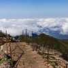 Levada wandelpad op de top van pico ruivo Madeira van Eric van Nieuwland