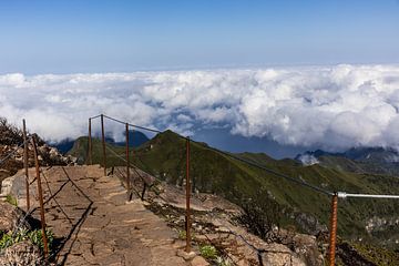 Levada wandelpad op de top van pico ruivo Madeira van Eric van Nieuwland