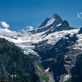 De Eiger gletscher van Jean's Photography