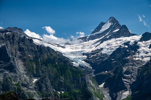 De Eiger gletscher