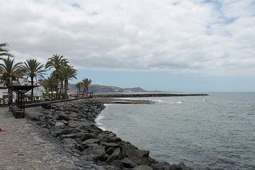 Côte océanique sur Jacobine Posthouwer