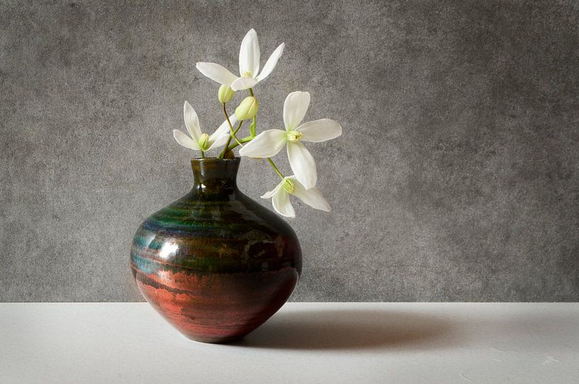 Clematis armandii in Vase von Corinne Welp