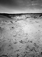 Nieuwe Duinen