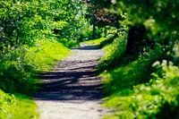 Green Path at the SurfLake