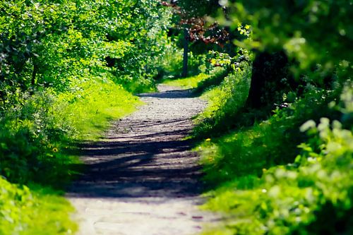 Green Path at the SurfLake