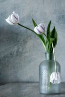 Fine Art fotografie van drie Tulpen op vaas.
