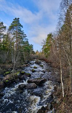 Le ruisseau en Suède sur Geertjan Plooijer