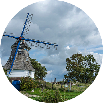 Windmolen in Sleeswijk-Holstein van Conny Pokorny