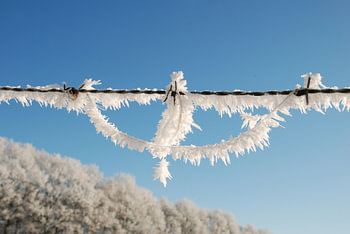 Winter op de Veluwe.