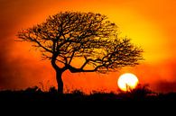 Südafrika Sonnenuntergang von Edwin Mooijaart Miniaturansicht