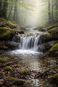 Kleiner Wasserfall im Wald-Natur im sanften Morgenlicht
