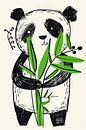 Bamboo Hug by Modern Collection thumbnail