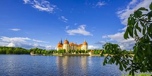 Moritzburg