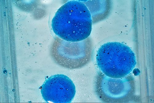 Abstract patroon in blauwtinten, organische vormen