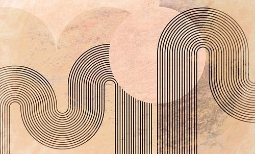 Modern Scandinavië Abstractie Geometrisch Organisch