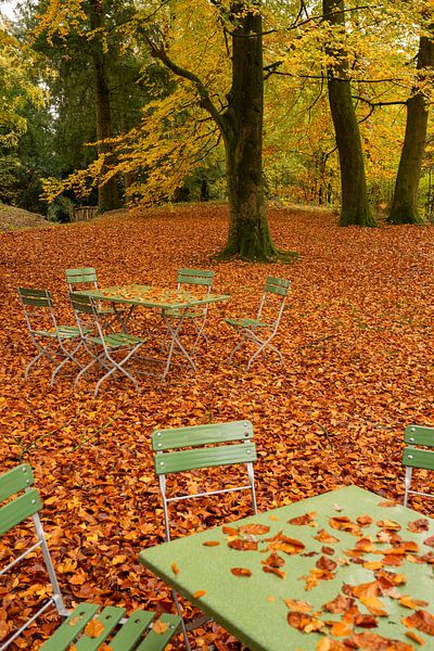 Herfstbos van Miranda Bos