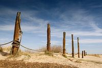 Duinen op Texel