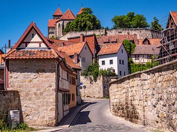 Oude binnenstad met kasteel in Quedlinburg van Animaflora PicsStock
