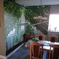 Klantfoto: Oude Westlandse kas met druiventeelt. van Gert van Santen, als behang