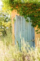 Provence blue door