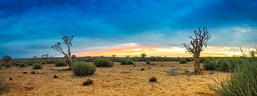 Panorama van de Kalahari woestijn, Namibië