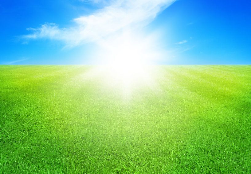 Green grass by Bo Valentino