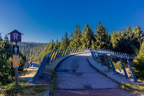 Herfstwandeling op de hoogten van het Thüringer Wald