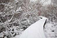 Snow covered landscape by Vanessa thumbnail