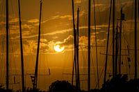 Sunset sailboats