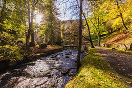 Parc de cure à Bad Wildbad en Forêt-Noire sur Werner Dieterich
