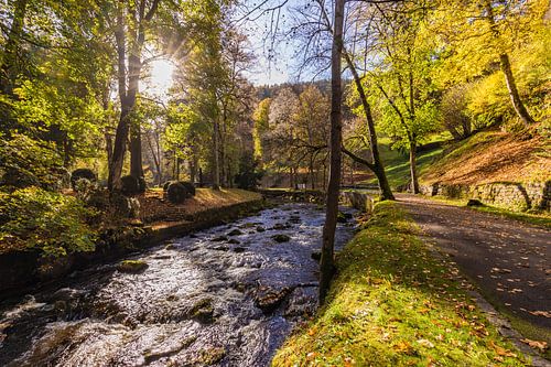 Parc de cure à Bad Wildbad en Forêt-Noire
