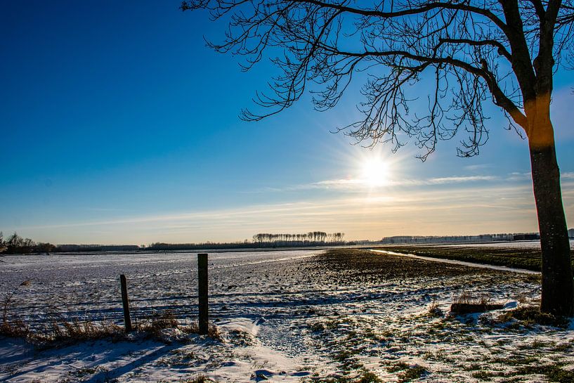 Wintermagie von Ingrid de Vos - Boom