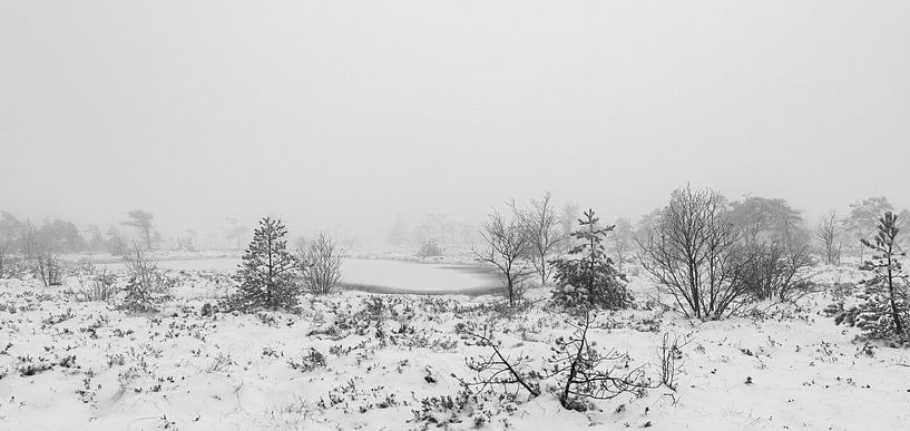 Das Schwarze Moor im Winterkleid 1 von Holger W. Spieker