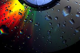 Drops by Saskia Hoks