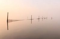 minimalist ijsselmeer with trap poles