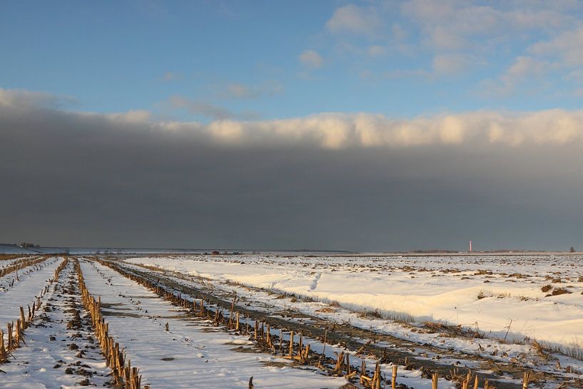 Stoppels in de winter by Rolf Pötsch