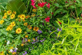 Blumen-Hintergrund