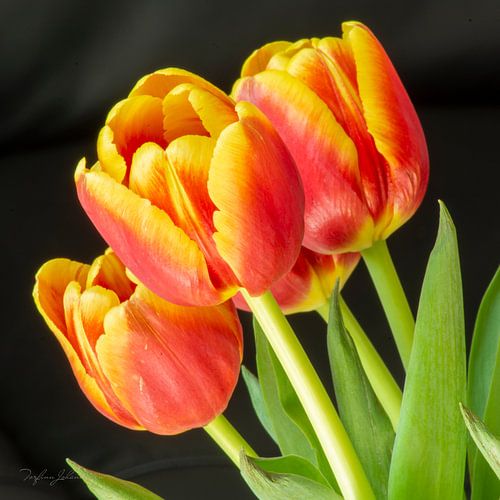 Zeit für den Frühling