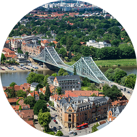Blick über die Elbe auf Dresden van Rico Ködder